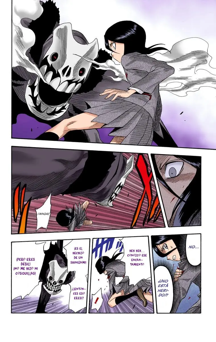 Bleach (Color) capítulo 9, página 10