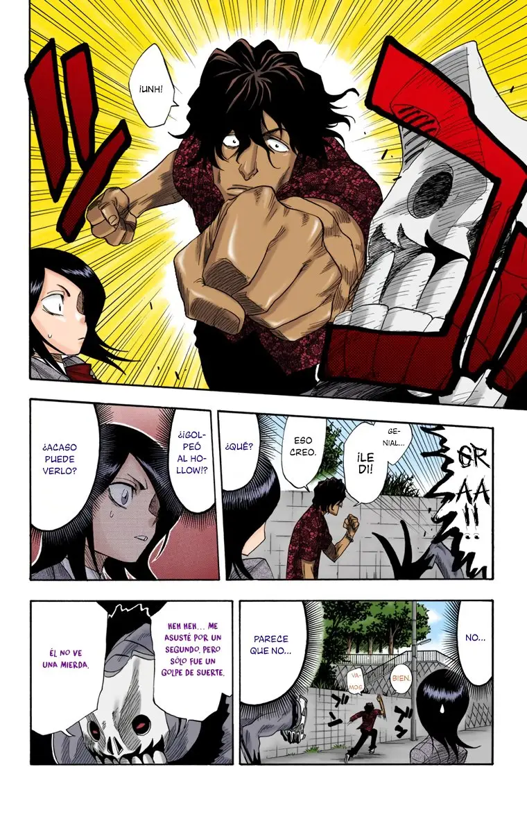 Bleach (Color) capítulo 9, página 14