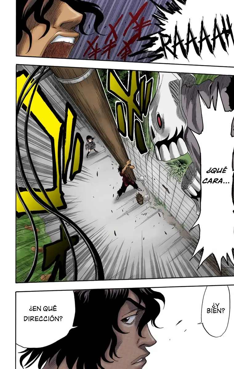 Bleach (Color) capítulo 9, página 18