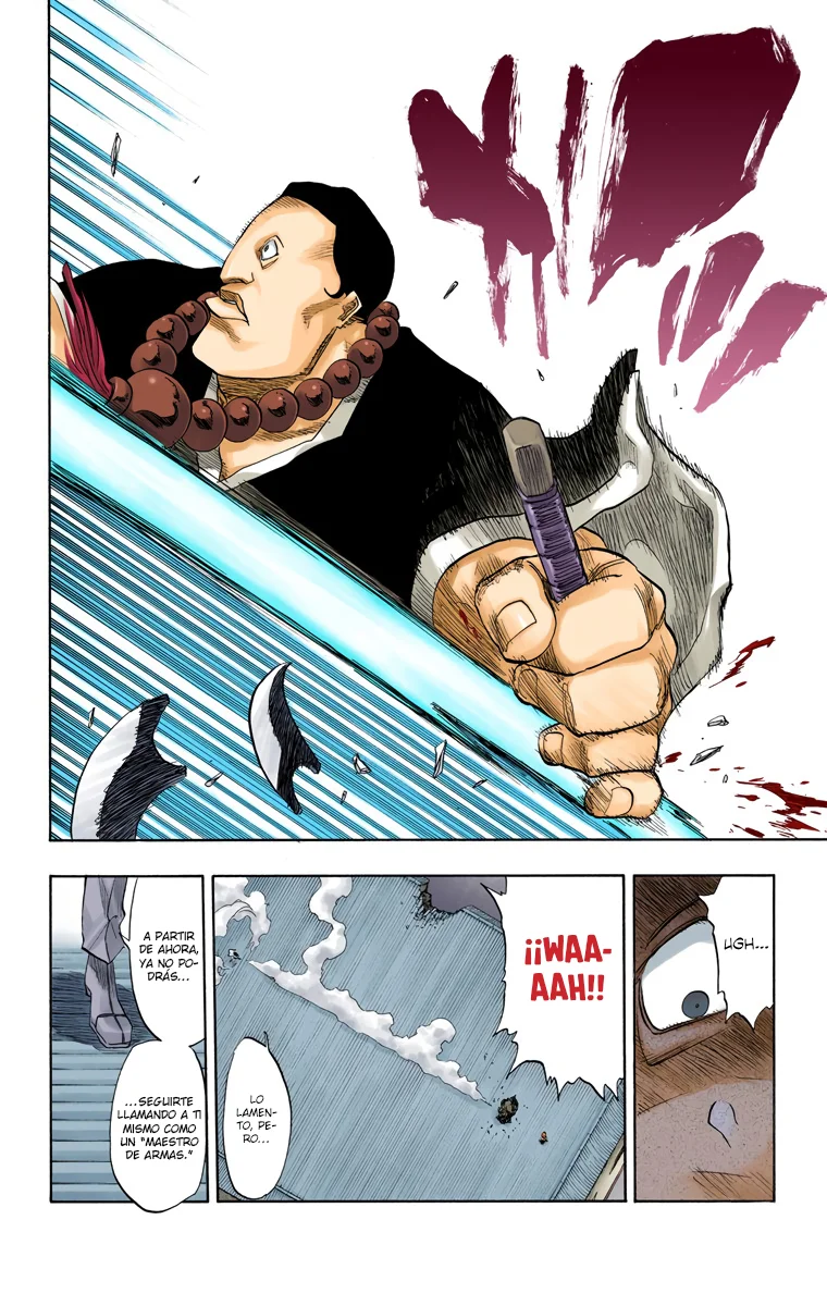 Bleach (Color) capítulo 91, página 25