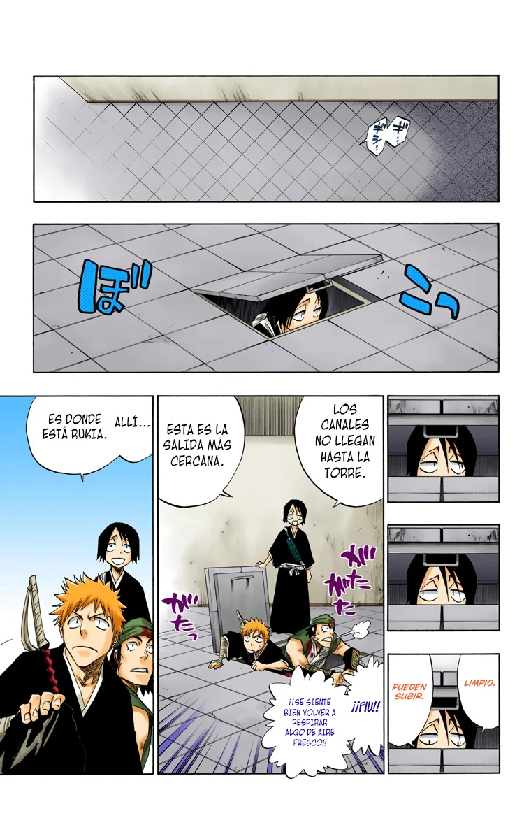 Bleach (Color) capítulo 94, página 14
