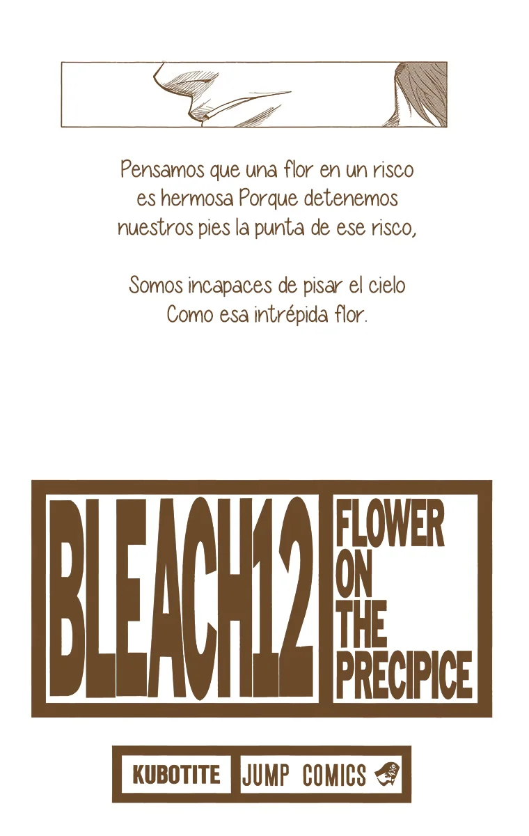 Bleach (Color) capítulo 99, página 3
