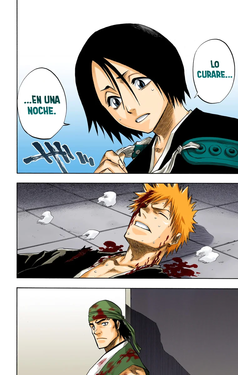 Bleach (Color) capítulo 99, página 11