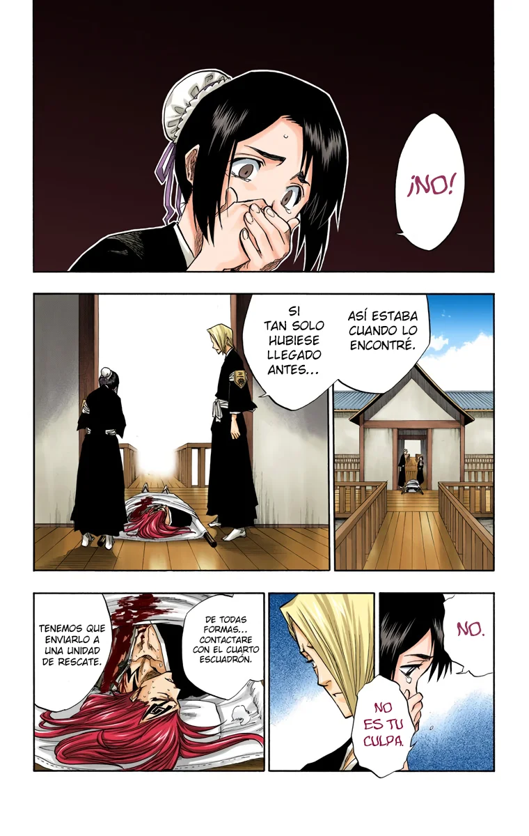Bleach (Color) capítulo 99, página 12