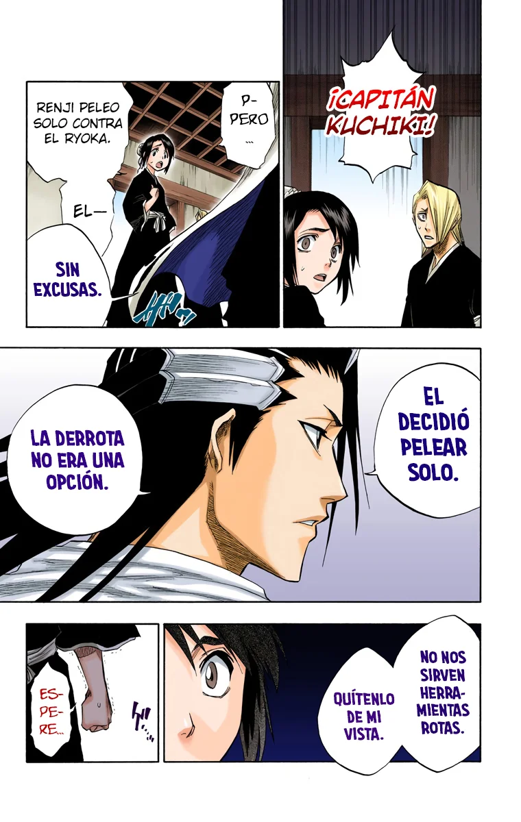 Bleach (Color) capítulo 99, página 14