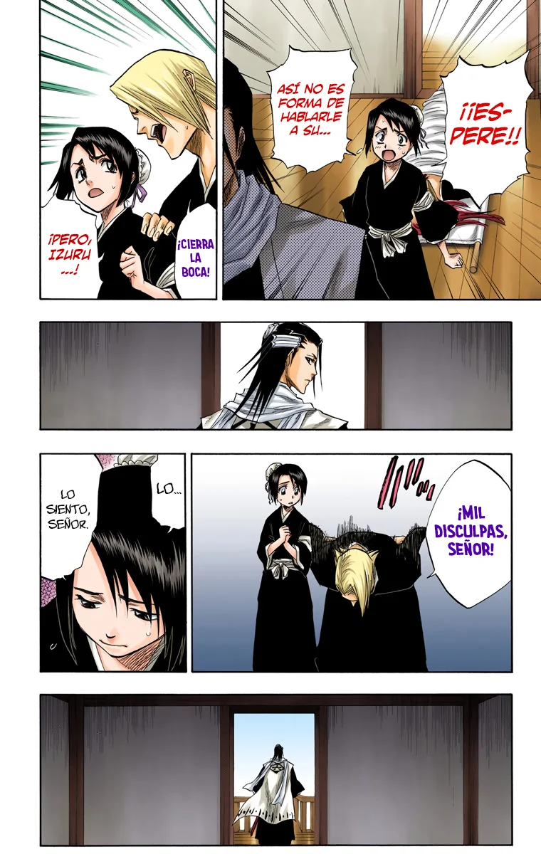 Bleach (Color) capítulo 99, página 15