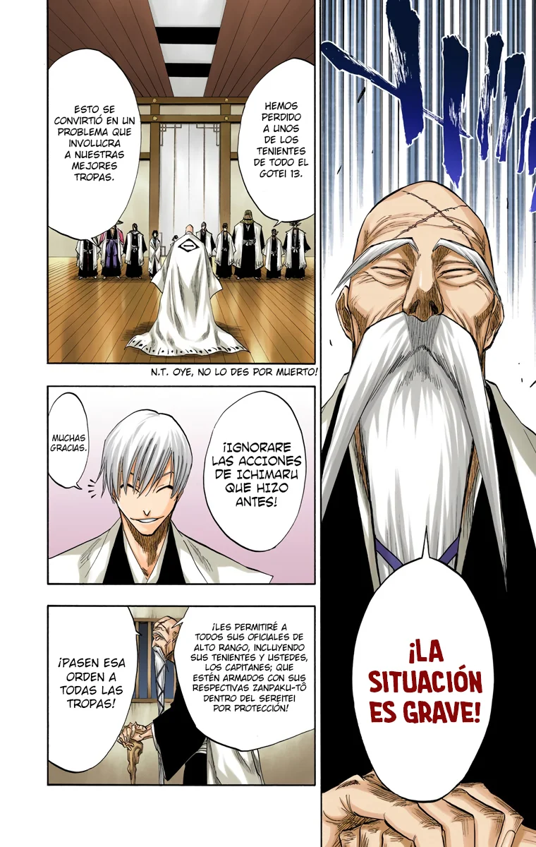 Bleach (Color) capítulo 99, página 19