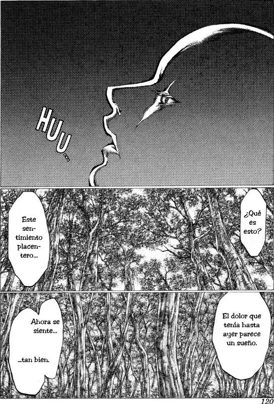 Claymore capítulo 37, página 31