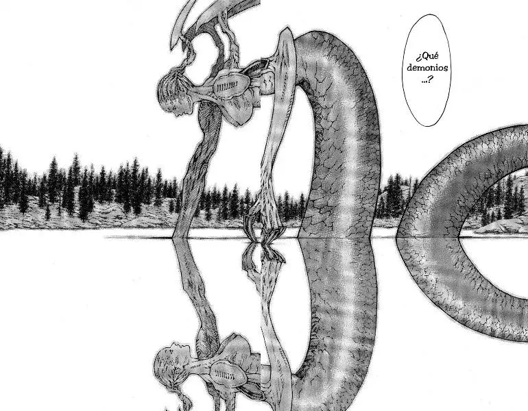 Claymore capítulo 39, página 15