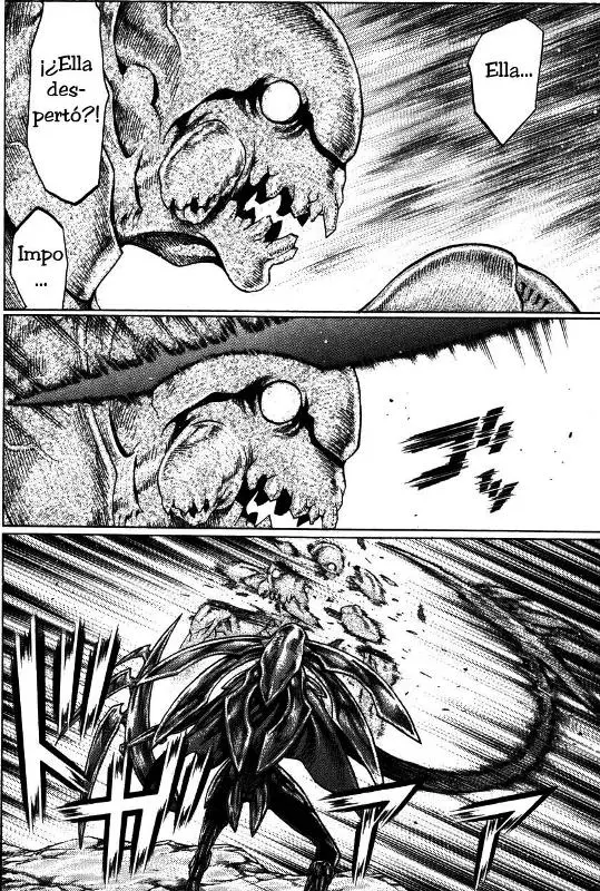 Claymore capítulo 62, página 13