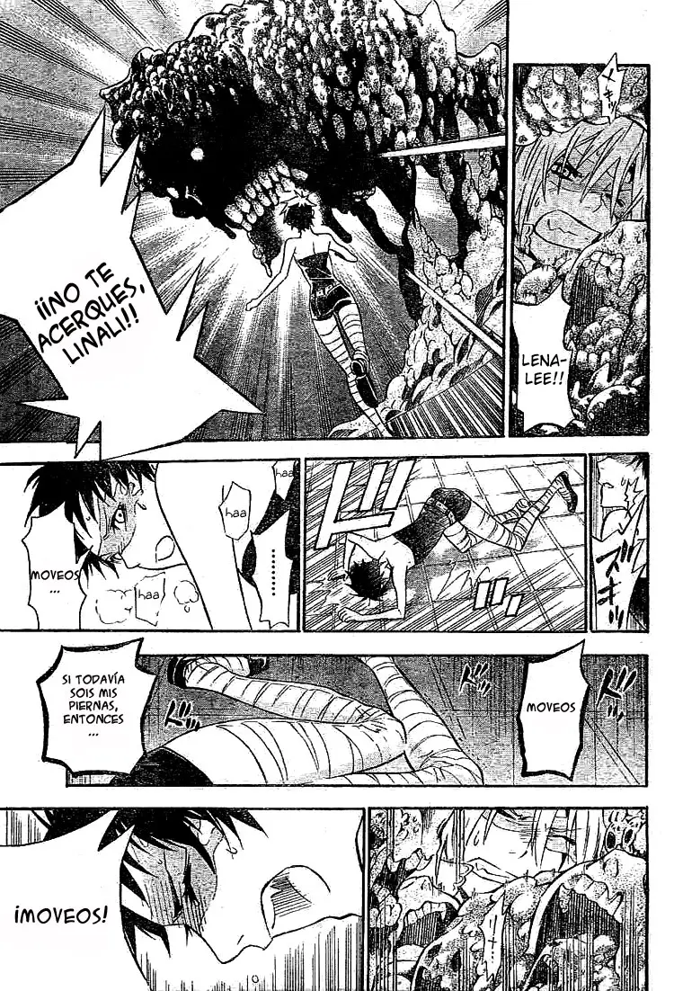 D.Gray-man capítulo 101, página 11
