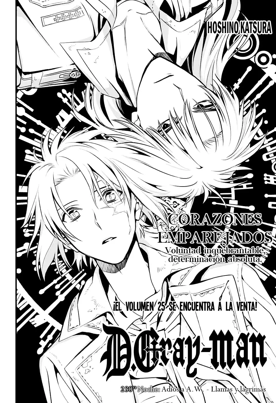 D.Gray-man capítulo 230, página 10