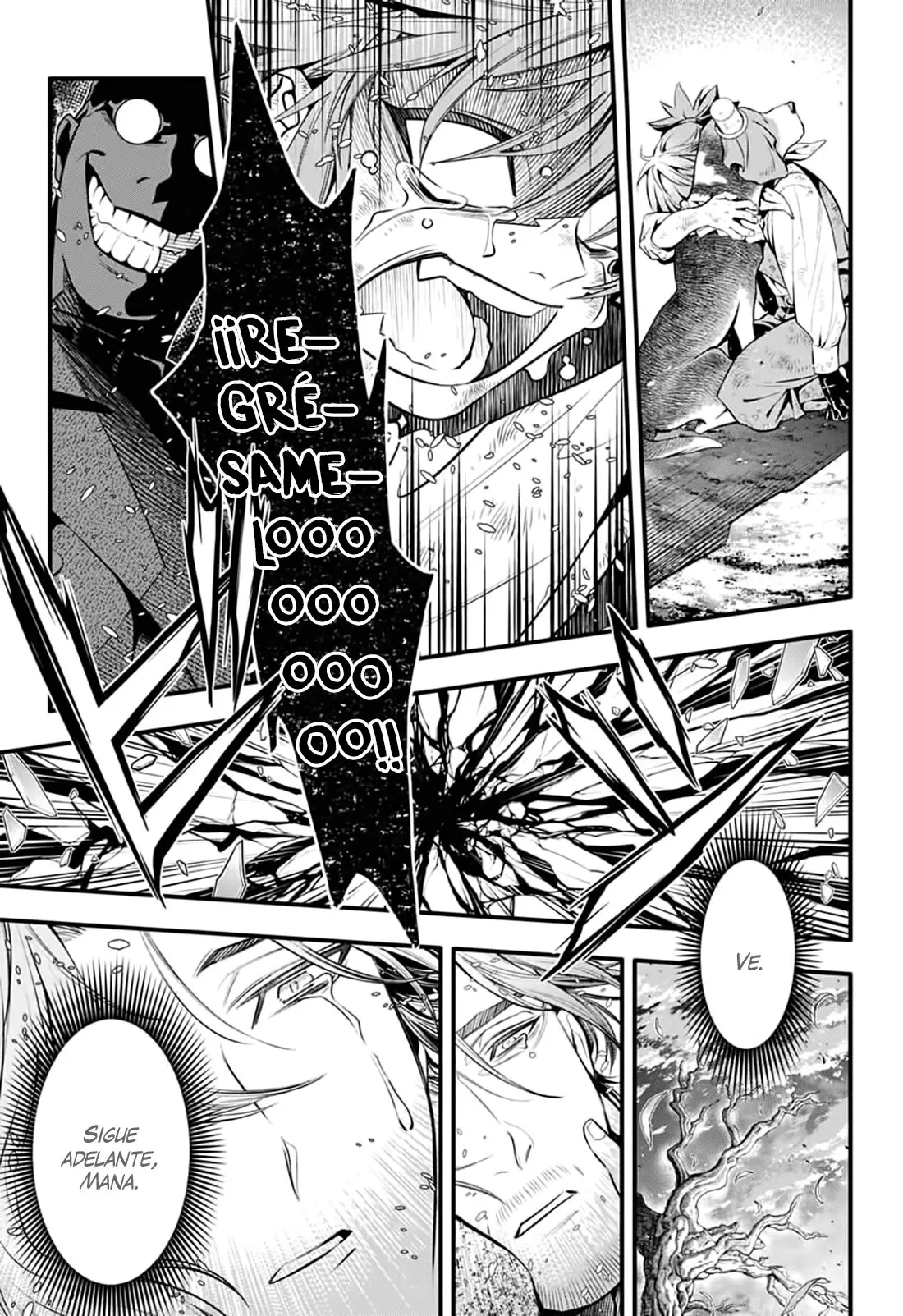 D.Gray-man capítulo 242, página 17