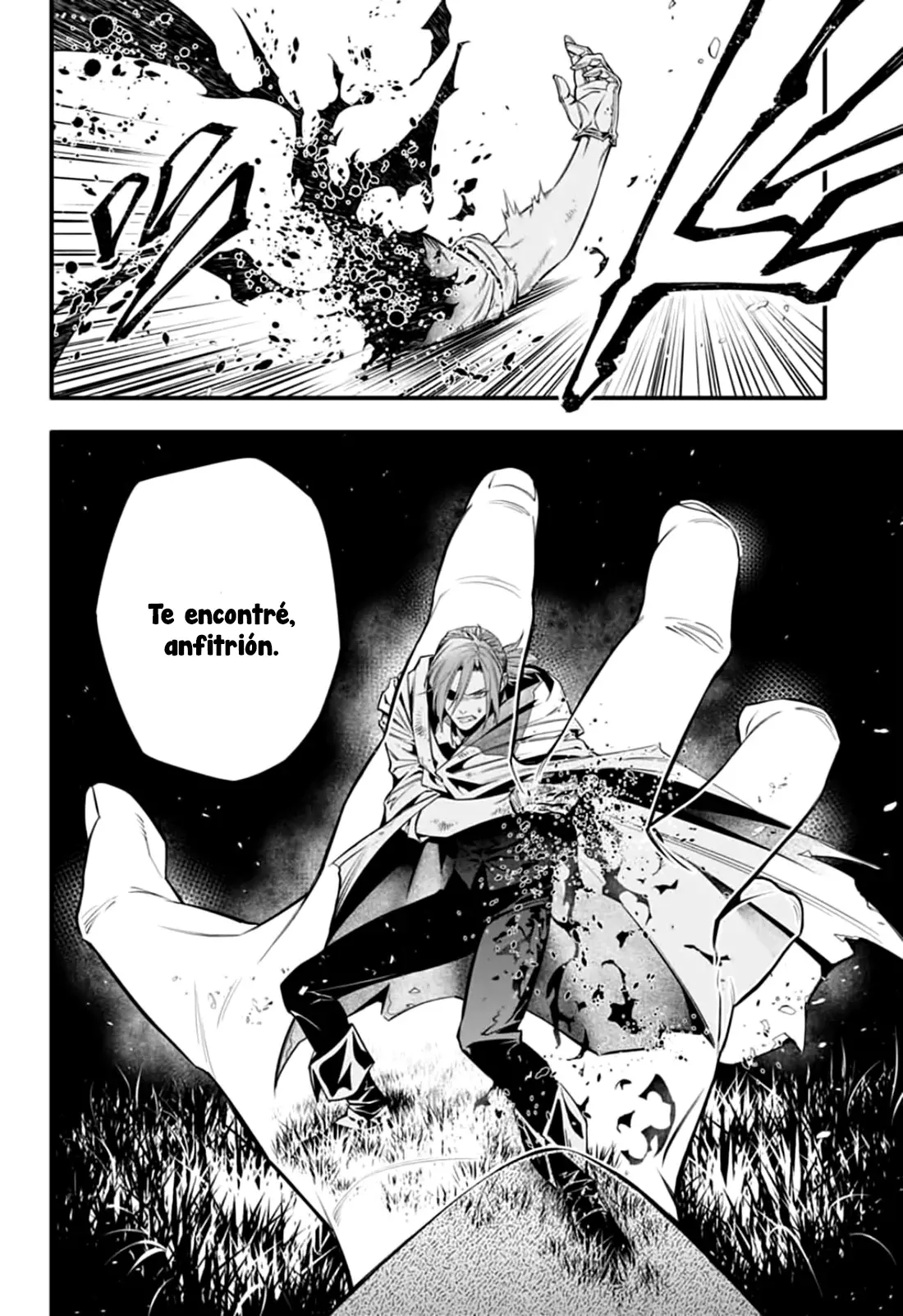 D.Gray-man capítulo 252, página 19