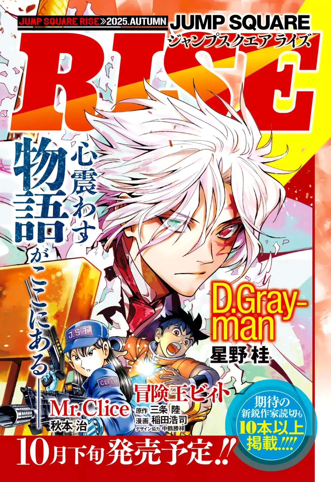 D.Gray-man capítulo 255, página 21