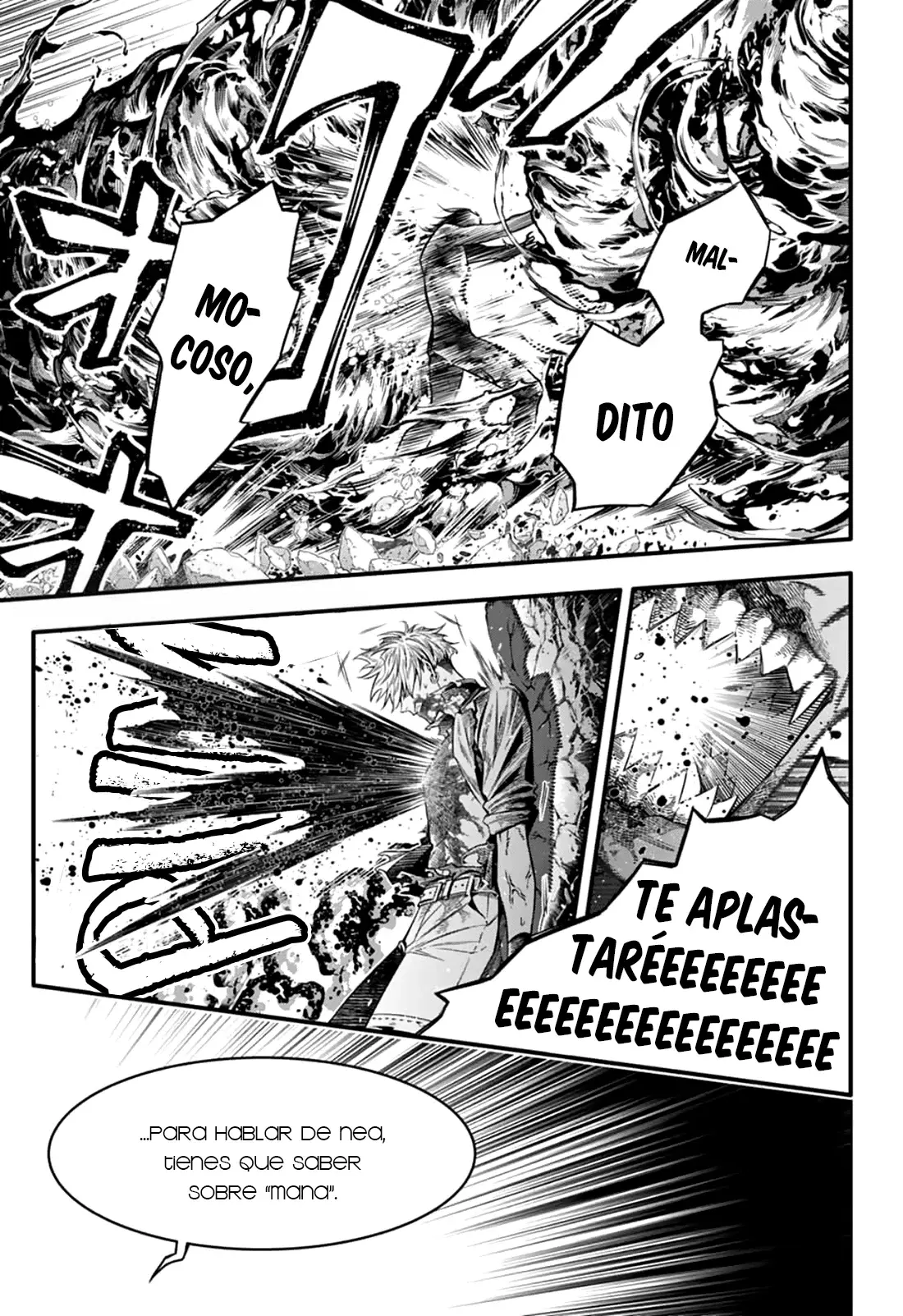 D.Gray-man capítulo 257, página 13