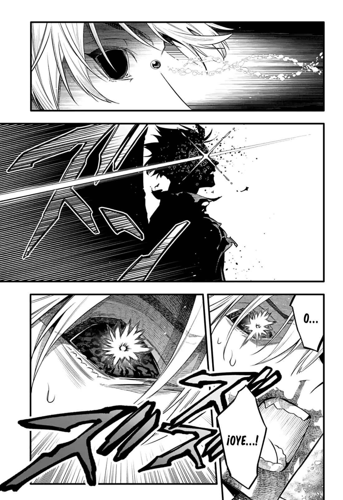D.Gray-man capítulo 257, página 17