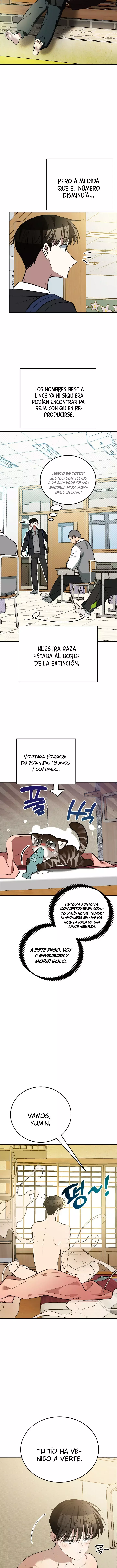¡Dame un bebé lince, a menos que quieras verme enloquecer! capítulo 1, página 11