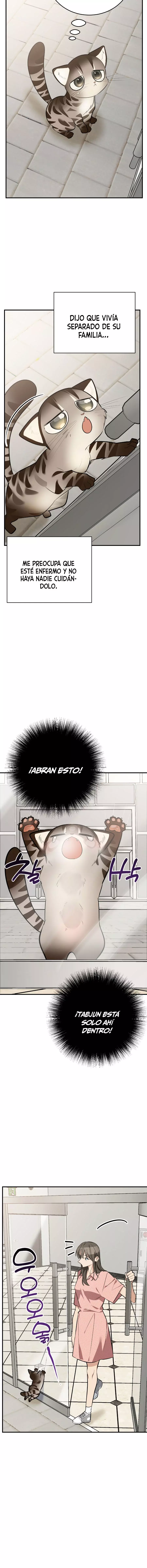 ¡Dame un bebé lince, a menos que quieras verme enloquecer! capítulo 14, página 19
