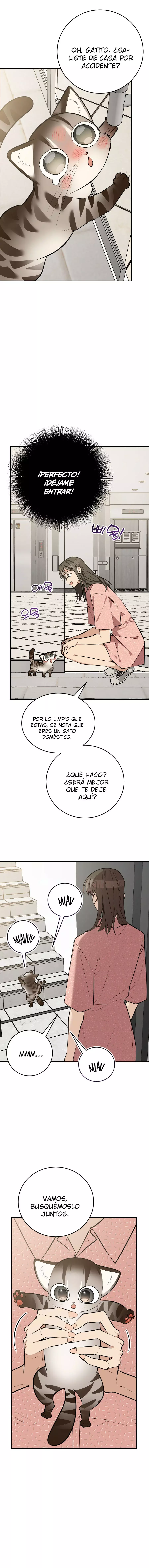 ¡Dame un bebé lince, a menos que quieras verme enloquecer! capítulo 14, página 20
