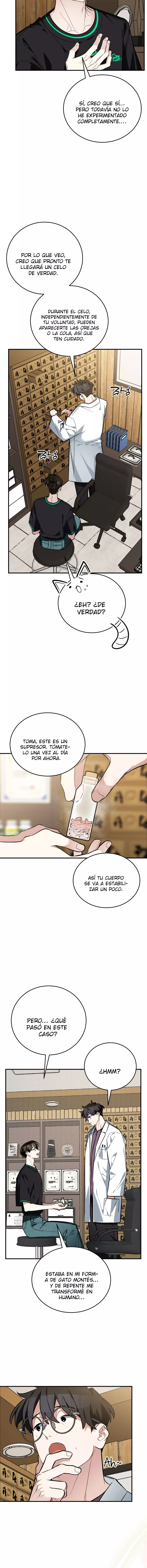 ¡Dame un bebé lince, a menos que quieras verme enloquecer! capítulo 16, página 11