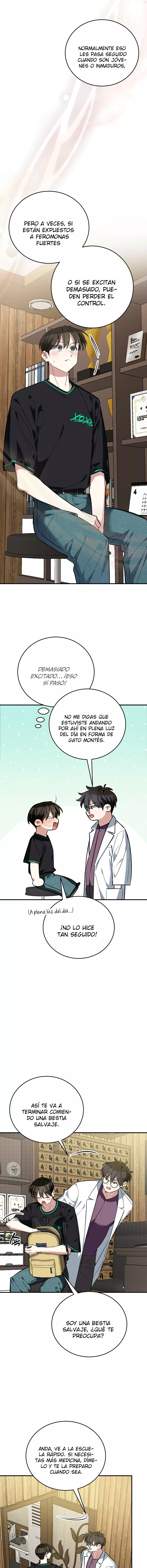 ¡Dame un bebé lince, a menos que quieras verme enloquecer! capítulo 16, página 12