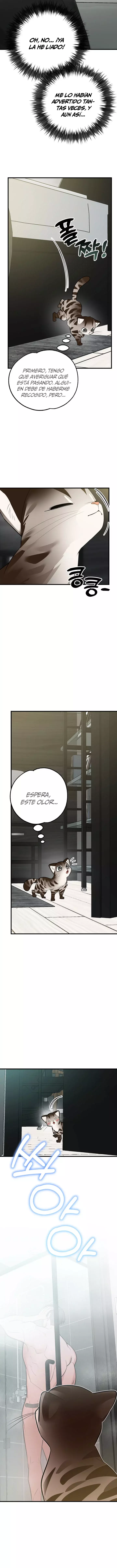 ¡Dame un bebé lince, a menos que quieras verme enloquecer! capítulo 2, página 5