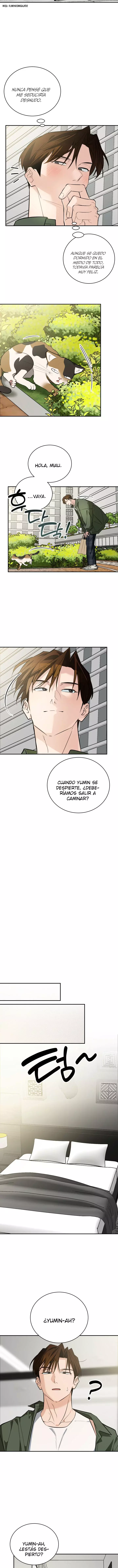 ¡Dame un bebé lince, a menos que quieras verme enloquecer! capítulo 20, página 12