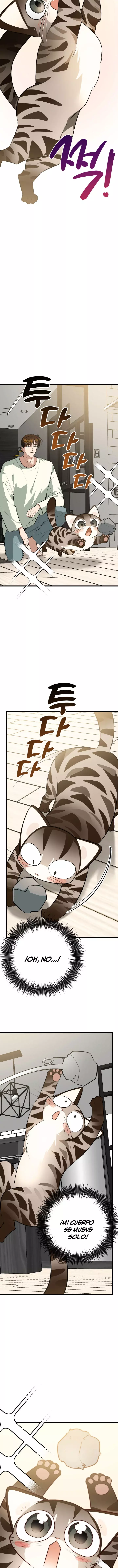 ¡Dame un bebé lince, a menos que quieras verme enloquecer! capítulo 3, página 8