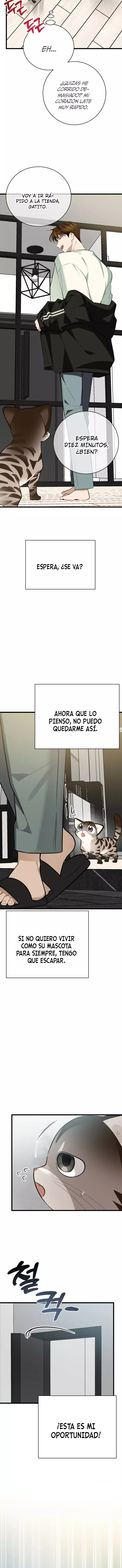 ¡Dame un bebé lince, a menos que quieras verme enloquecer! capítulo 3, página 10