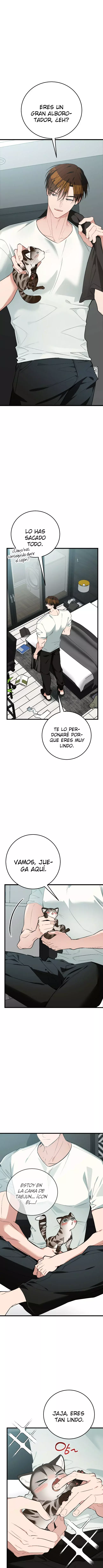 ¡Dame un bebé lince, a menos que quieras verme enloquecer! capítulo 8, página 11