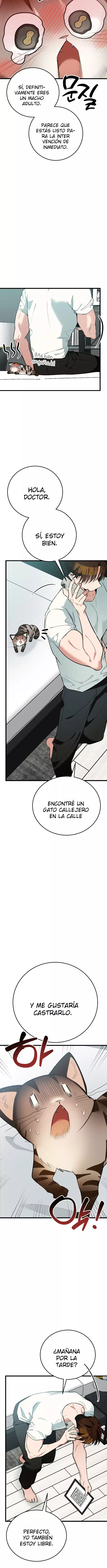 ¡Dame un bebé lince, a menos que quieras verme enloquecer! capítulo 8, página 13