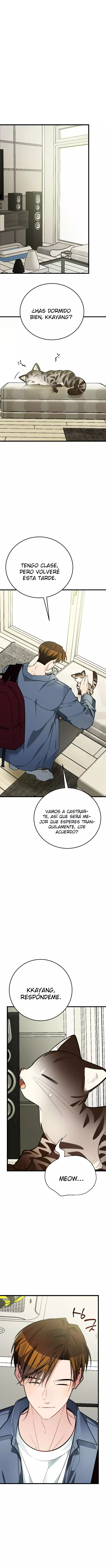 ¡Dame un bebé lince, a menos que quieras verme enloquecer! capítulo 9, página 3