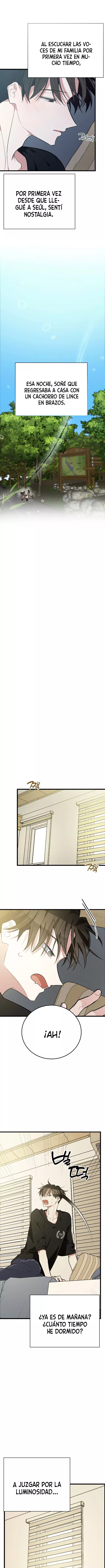 ¡Dame un bebé lince, a menos que quieras verme enloquecer! capítulo 9, página 19