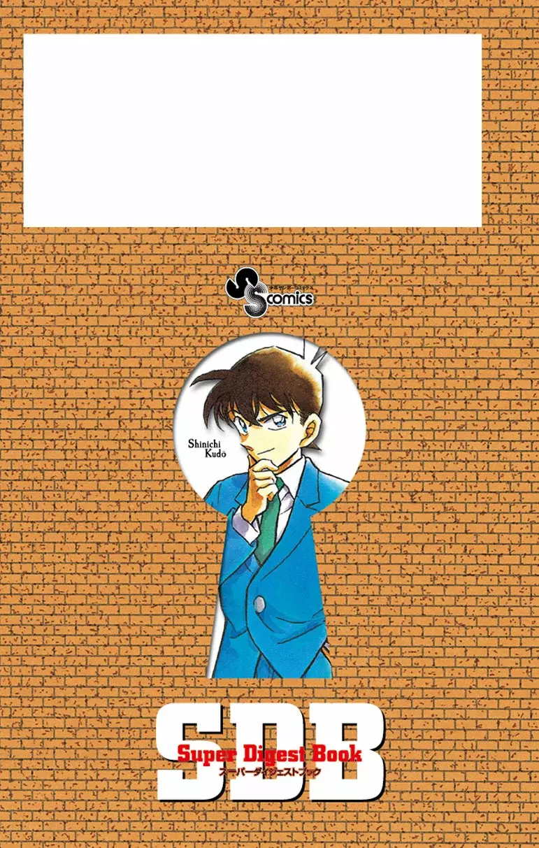 Detective Conan capítulo 100.5, página 19