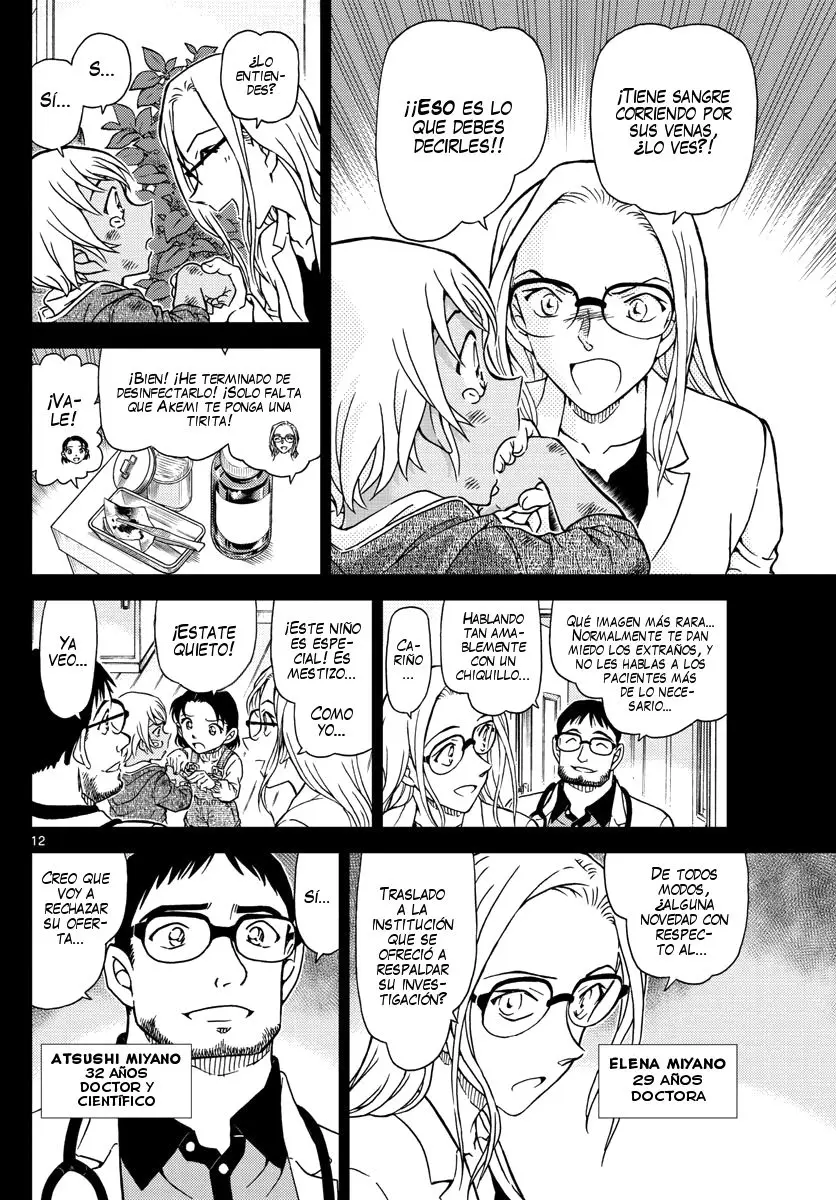 Detective Conan capítulo 1011, página 13