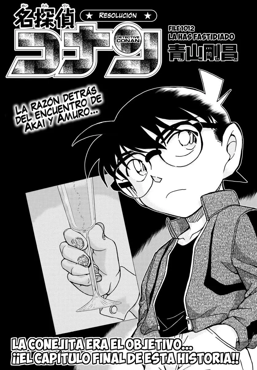 Detective Conan capítulo 1012, página 2
