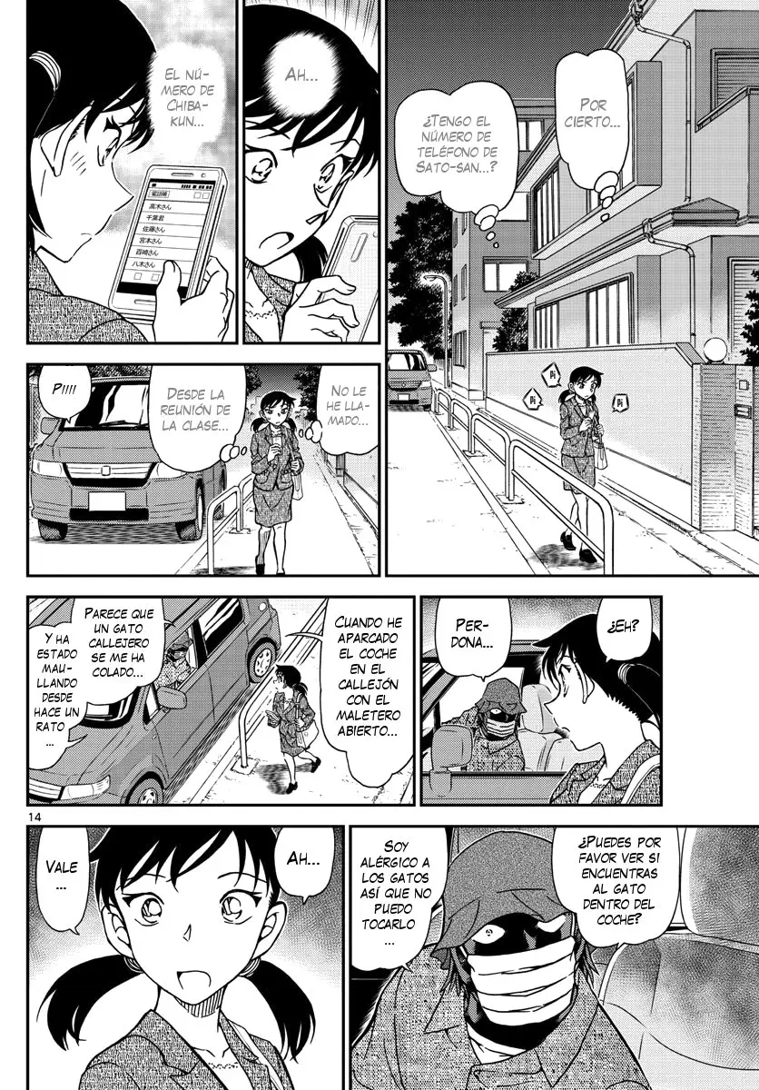 Detective Conan capítulo 1016, página 15