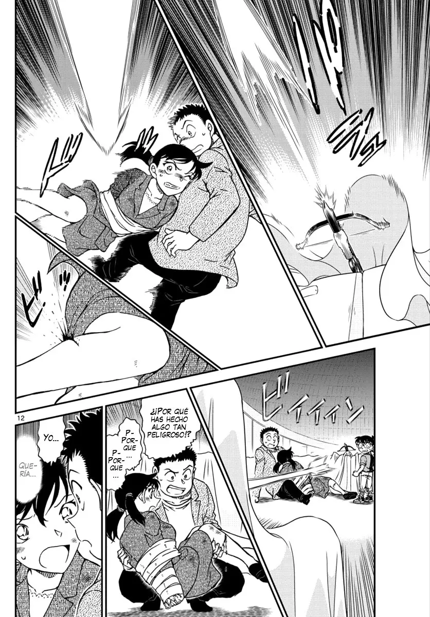 Detective Conan capítulo 1017, página 13