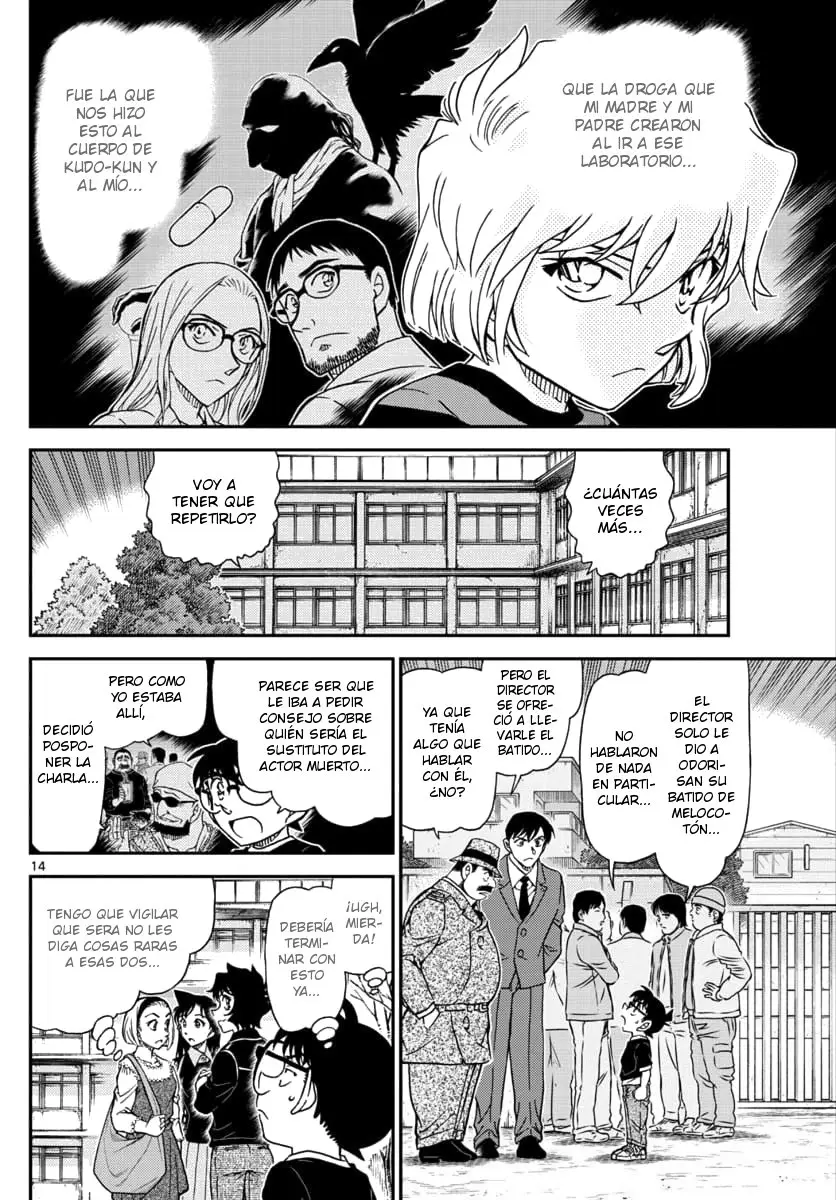 Detective Conan capítulo 1025, página 14
