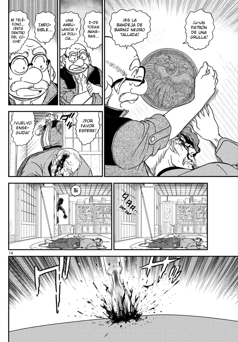 Detective Conan capítulo 1035, página 15