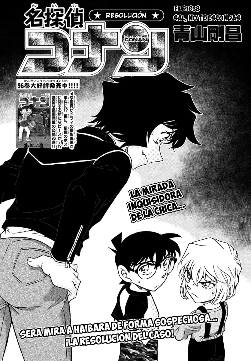 Detective Conan capítulo 1038, página 2