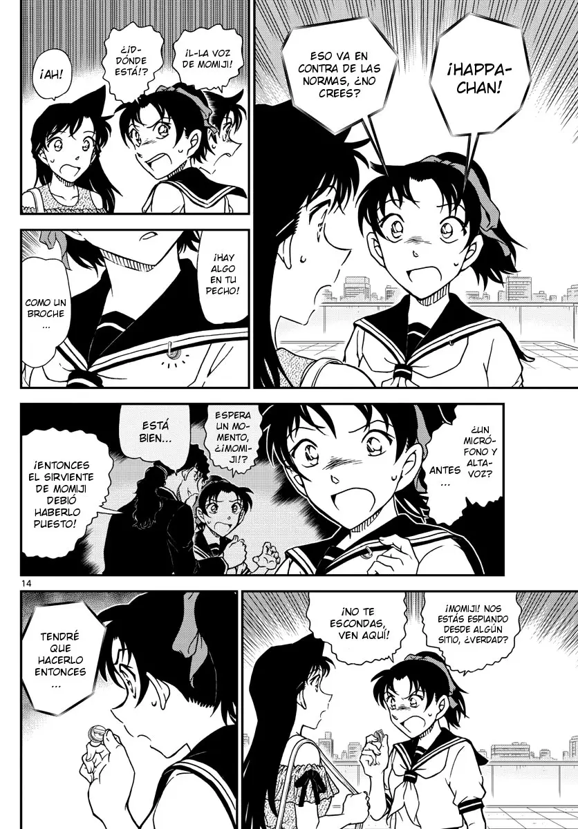 Detective Conan capítulo 1039, página 14