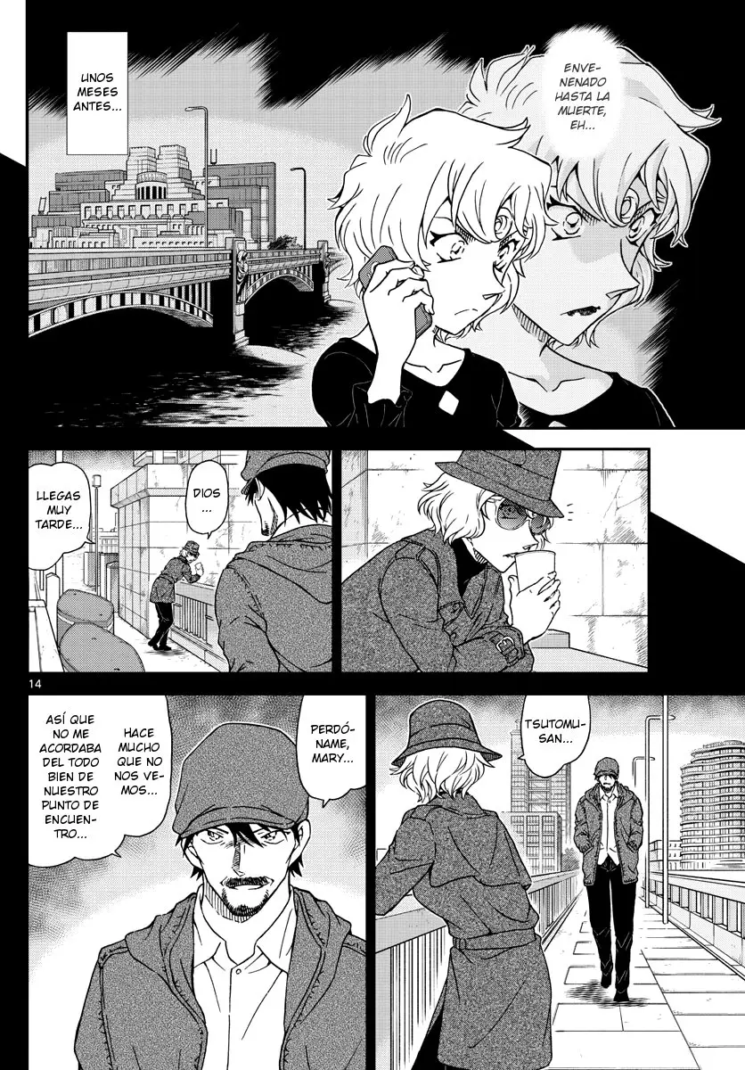 Detective Conan capítulo 1048, página 14