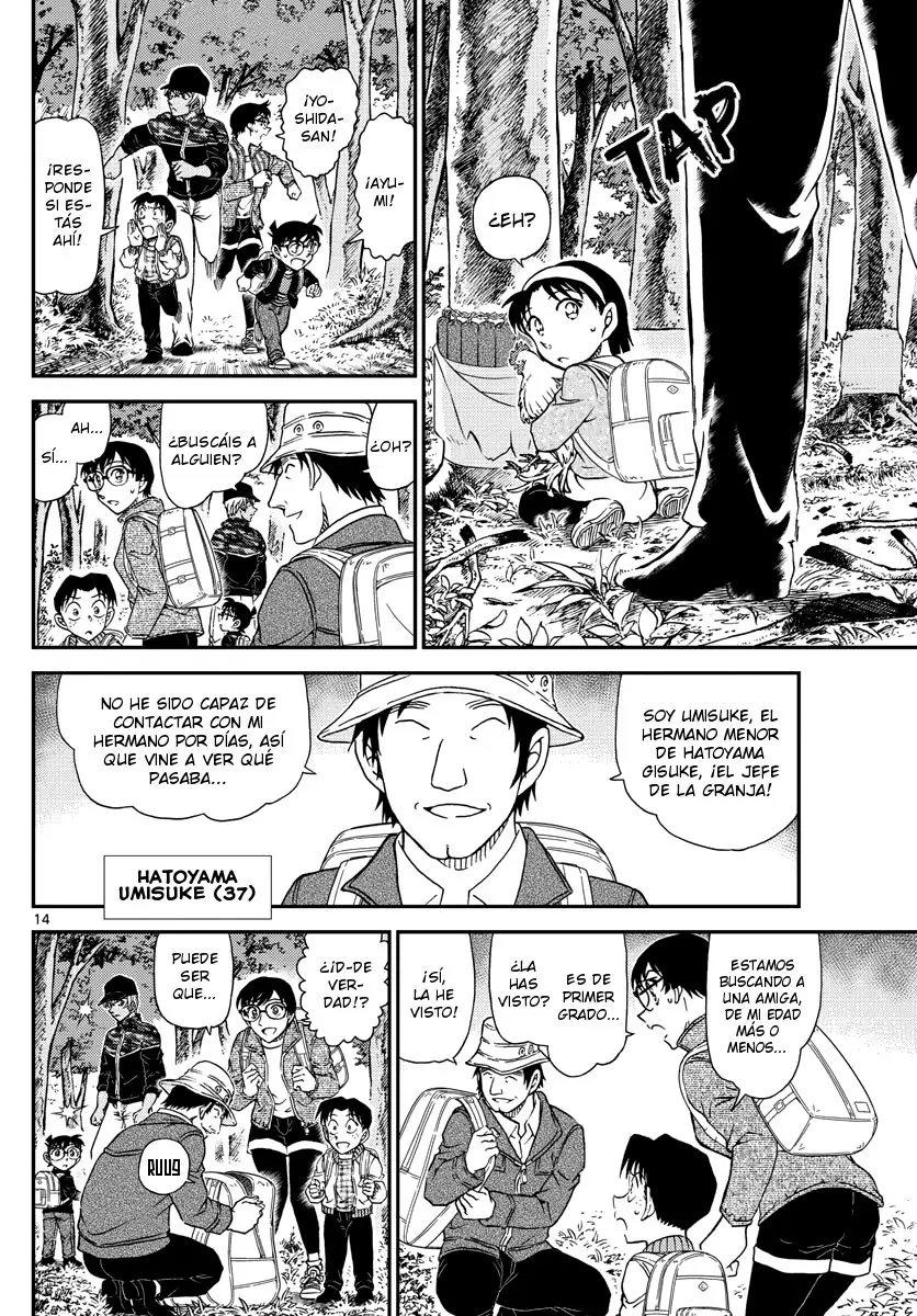 Detective Conan capítulo 1051, página 15