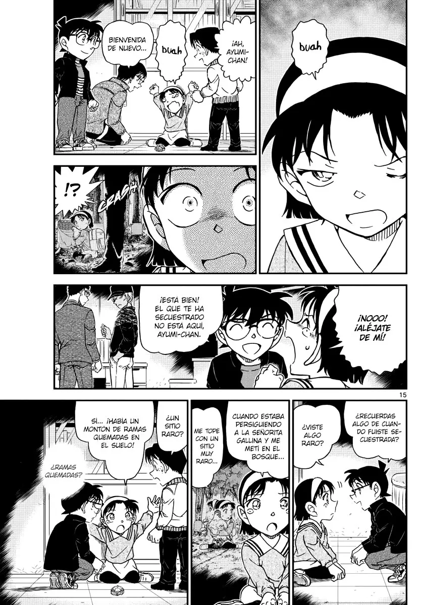 Detective Conan capítulo 1052, página 16
