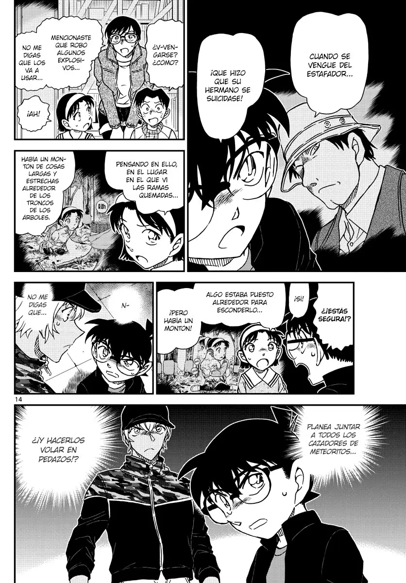 Detective Conan capítulo 1053, página 14
