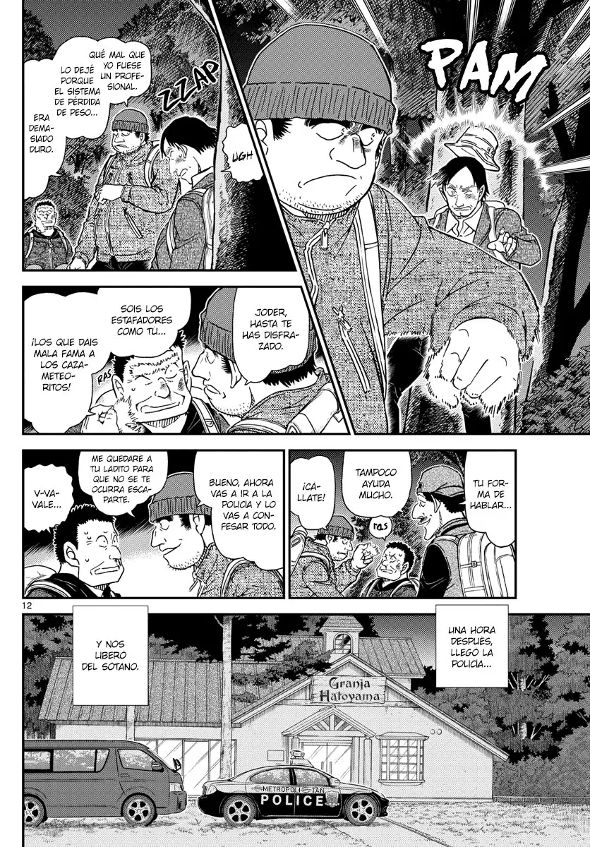 Detective Conan capítulo 1054, página 13