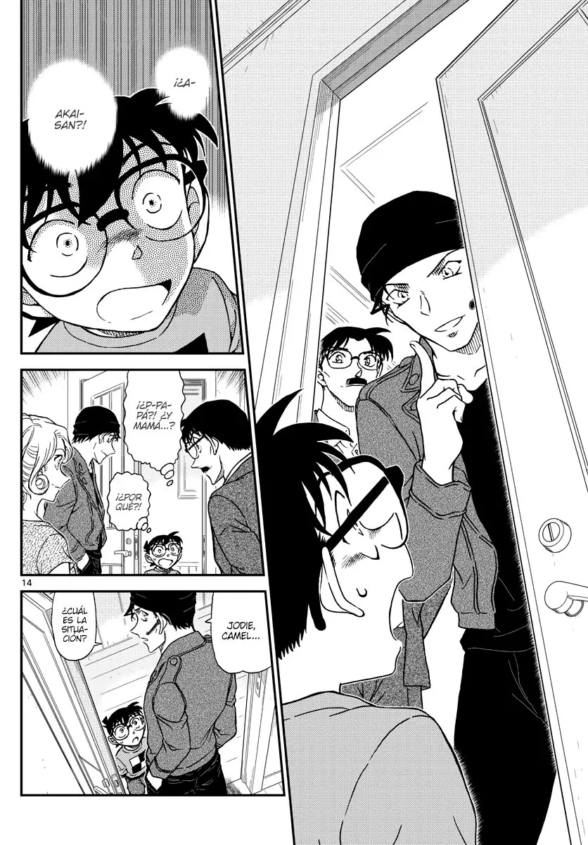 Detective Conan capítulo 1060, página 14