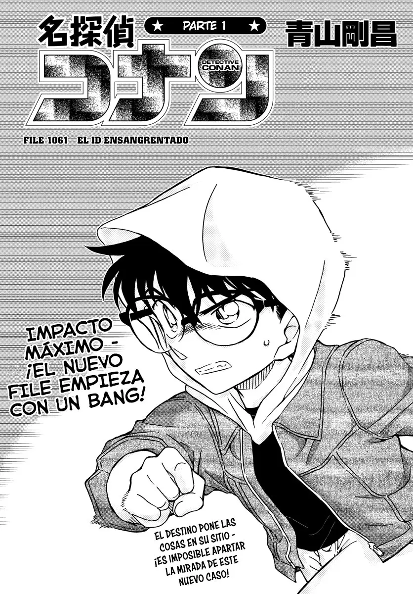 Detective Conan capítulo 1061, página 2